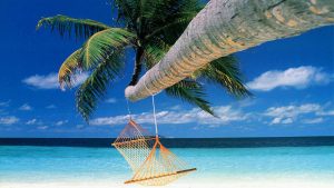 Summertime !!! experts in Basingstoke